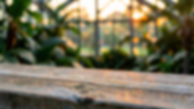 Amber Tea Light Bokeh Rings Fading Deep Charcoal Darkness Cozy Ambiance