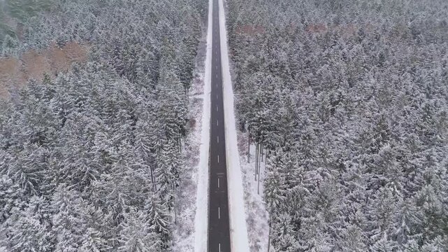 Road through snow covered coniferous forest landscape, Germany, ecosystem woodland, travel and environment, cold frosty temperature in winter, aerial view 