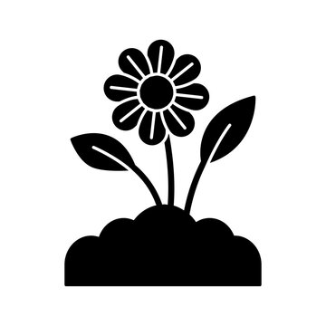 Blooming flower in soil icon, plant growth and gardening vector silhouette