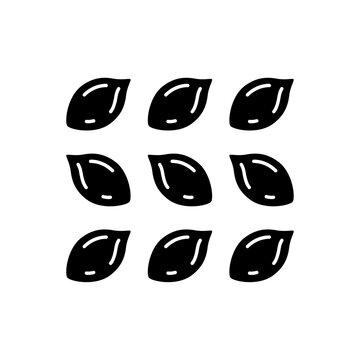 Arranged plant seeds group icon, organized agricultural grain crop vector silhouette