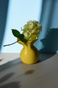 Yellow ceramic vase with hydrangea flowers and botanical shadows