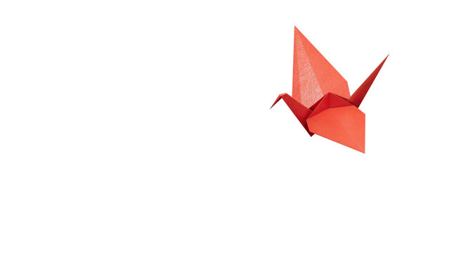 Different business concept.new ideas. paper art style.leader swan concept with red paper swan leading.Supports PNG files with transparent backgrounds.