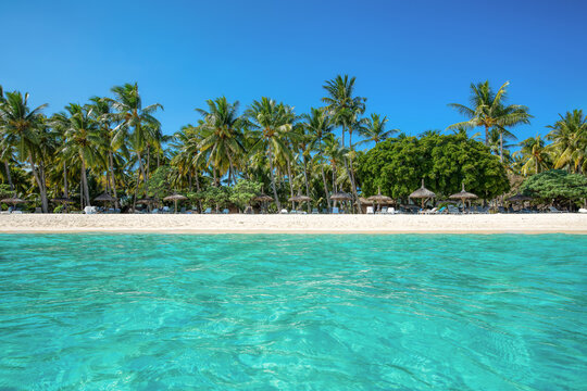 Tropical Beach with Turquoise Lagoon and Palm Trees in Mauritius