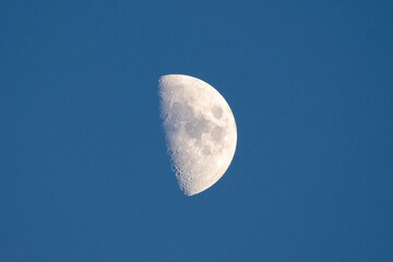 A clear half moon (first quarter phase) stands out sharply against a deep, vibrant blue daytime sky. © LauraClementina