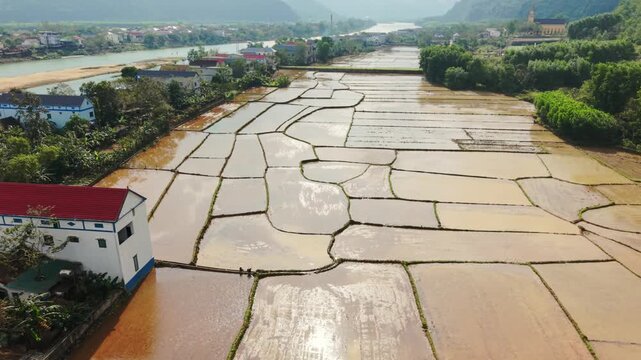 Aerial Reflective Rice Mirrors Phong Nha Vietnam Sunlit Flooded Paddies Forming Mirrorlike Pools, Dark Embankment Lines, Distant River And Karst Hills, Peaceful Agricultural Panorama