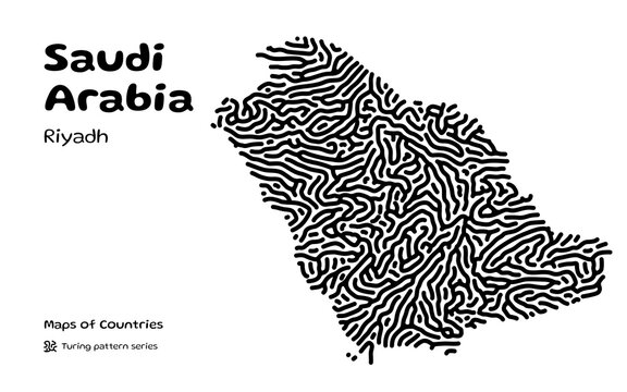 Saudi Arabia Riyadh Turing Pattern Vector Map