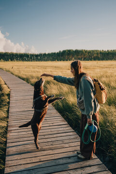Woman using positive reinforcement to train dog standing on hind legs during outdoor walk on wooden boardwalk