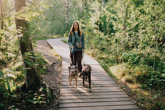 Woman walking two dogs on separate leashes along wooden boardwalk through green forest