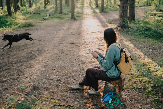 Woman using smartphone while resting during a dog walk on a forest trail with backpack and leashes nearby