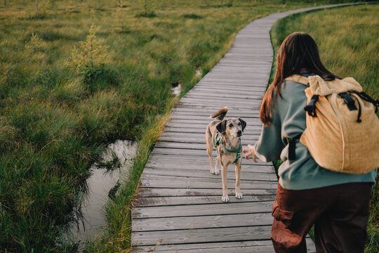 Woman practicing recall training with dog on wooden boardwalk during an outdoor nature walk