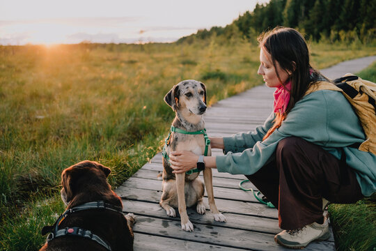 Woman caring for one of two dogs during an outdoor walk on wooden boardwalk at sunset