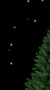 Digital animation of multiple stars moving against christmas tree on black background