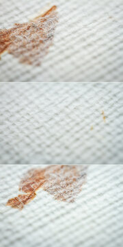 Collection of images with extreme closeups of white handmade paper with dried plants. Shallow depth of field.