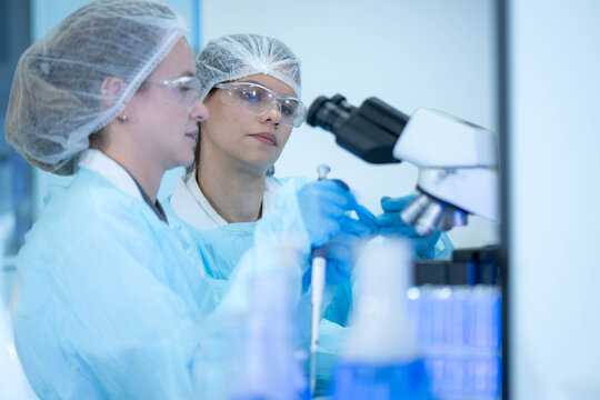Two scientists working together in a laboratory while examining samples