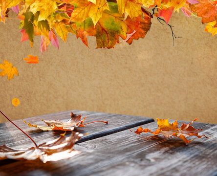 Autumn maple leaves hanging over rustic wooden table with copy space