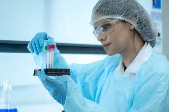 Female scientist examining laboratory tubes working inside a laboratory safety cabinet while conducting sample analysis