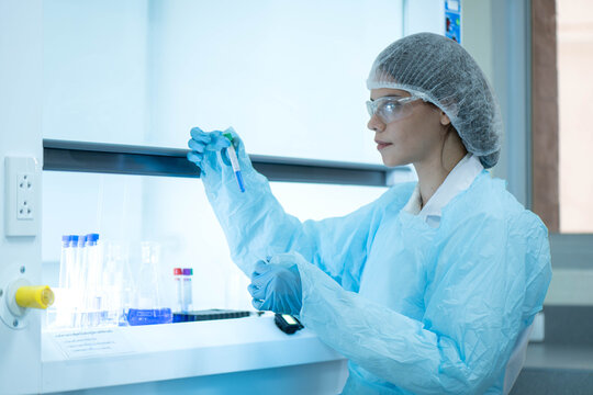 Female scientist examining laboratory tubes working inside a laboratory safety cabinet while conducting sample analysis