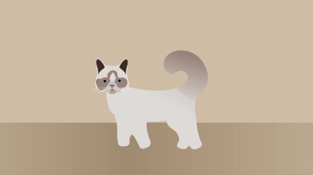 Animated ragdoll cat motion footage showing a cute feline character moving its fluffy tail against a solid soft beige background