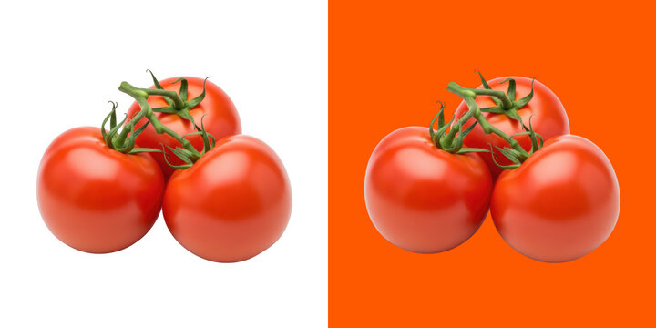 Fresh red tomatoes on vine cluster studio shot photography image transparent png