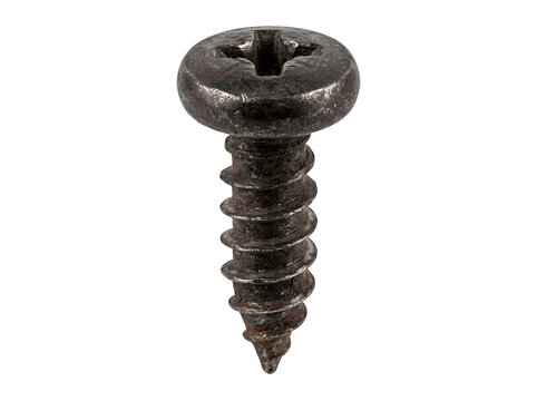 Closeup of an old metal screw with a phillips head design funny animal emoji isolated on transparent background