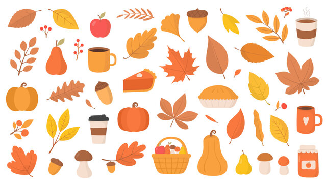 Set of autumn harvest and cozy seasonal elements - autumn leaves, pumpkins, forest mushrooms, warm beverages, and harvest treats