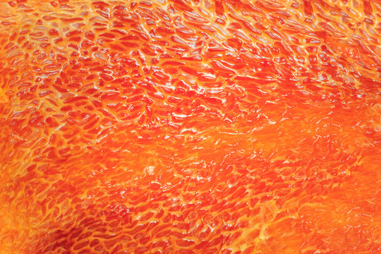 Red pepper, macro view, pepper flesh