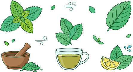 Fresh Mint Leaves Vector Set featuring Herbal Green Tea Cup, Mortar and Pestle, Lemon Slice, and Peppermint Botanical Graphics © Shekhor studioBD