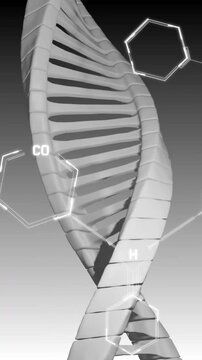 Animation of scientific data processing over dna strand