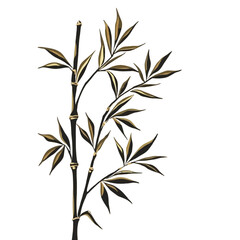 Fototapeta premium Elegant bamboo stalks with slender leaves against white background.