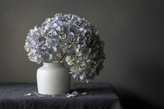 Dried Hydrangea in Ceramic Vase Moody