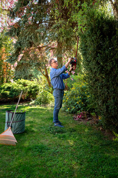 Full length of a senior mand gardening in a back yard