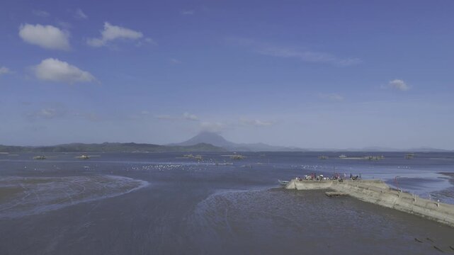 Aerial drone view of Fishing dock and egrets feeding in shallow water at Inner Malampaya Sound, Taytay