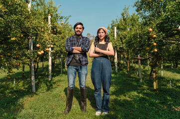 Fototapeta premium Sunlit orchard with rows of fruit trees