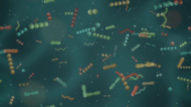 Gut microbiome bacteria ecosystem rod coccus and spiral microbes dividing in mucus seamless loop in calm teal tones