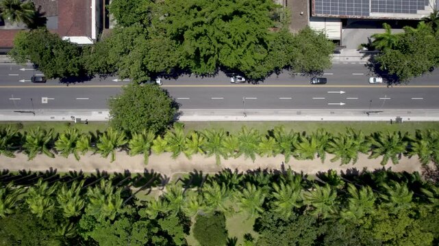 Zenital travelling drone about the contrast of a pavement road and a dirty road with palm trees