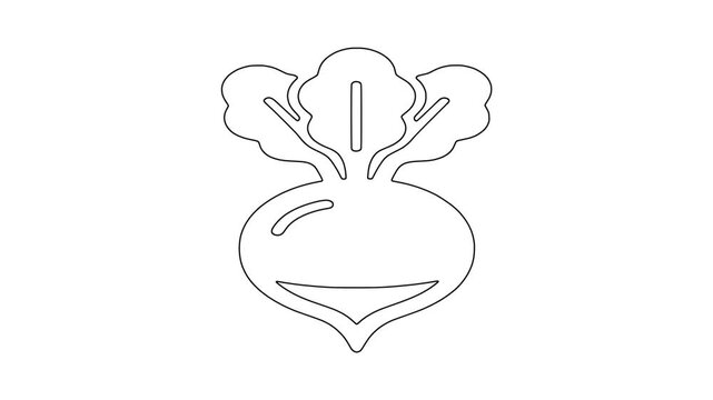 Beetroot with leaves icon animation