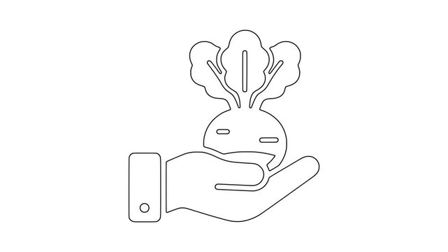 Beetroot held by hand icon animation