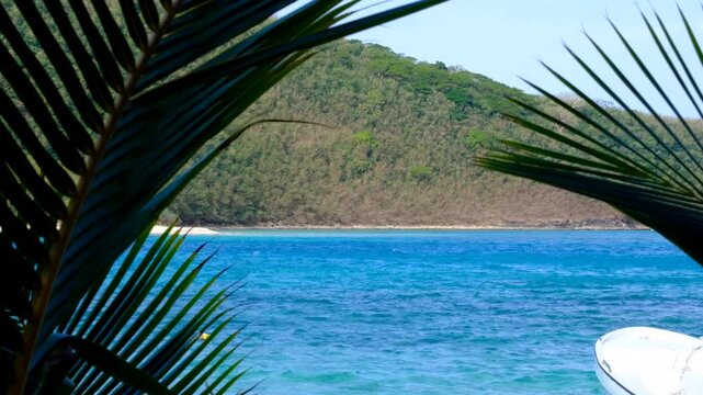 Idyllic scenic view blue ocean water through flax plants on tropical island in Yasawa Islands, Fiji