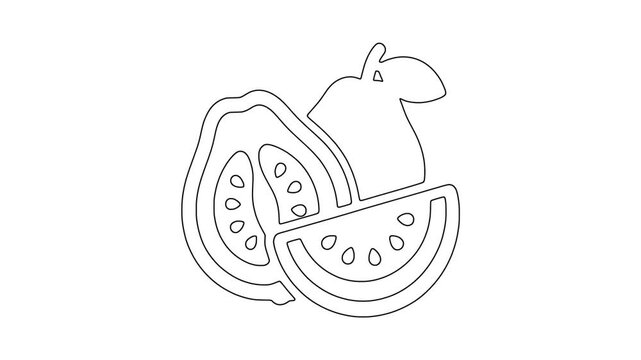 Sliced citrus fruit icon animation