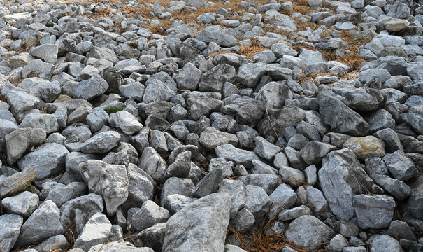 Close-up view of riprap rock embankment in horizontal composition, showing variegated gray stones of varied sizes and shapes with dried grass, scattered vegetation and rough, uneven surface