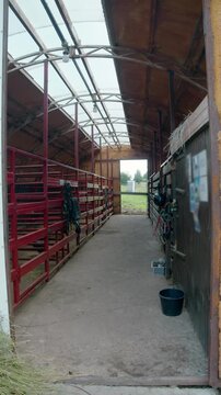 Empty horse stable corridor displays hanging equestrian equipment and open exit. Vertical view shows organized rural barn interior.