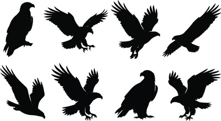 Naklejka premium Bald Eagle Silhouette Collection with Flying and Standing Bird Poses on White Background