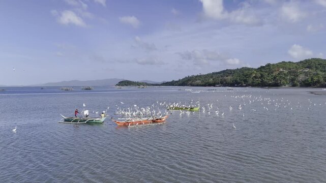 Aerial drone view of Egrets feeding beside fishermen cleaning nets in shallow water at Inner Malampaya Sound