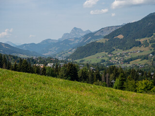 Fototapeta premium mountain valley landscape green meadow alpine village background