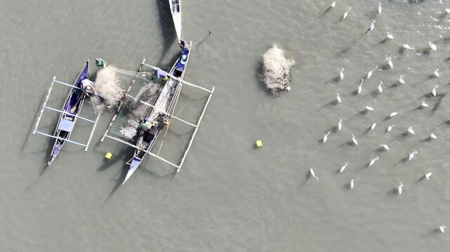 Aerial drone view of Fishermen cleaning nets as egrets wait beside their boat at Inner Malampaya Sound