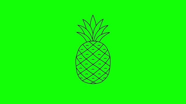 Pineapple sketch animation, pineapple outline drawing, fresh fruit dessert concept, green background, 4K video.