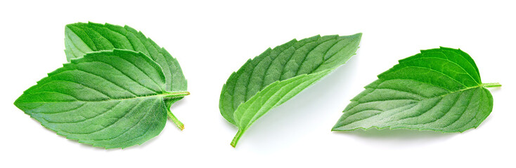 Mint leaves set isolated on white background. Green fresh mint leaves collection with clipping path © Maks Peoplenko