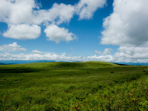 夏の青空と白い雲、広大な緑の草原の風景。コピースペースが広い爽やかな大自然の背景素材