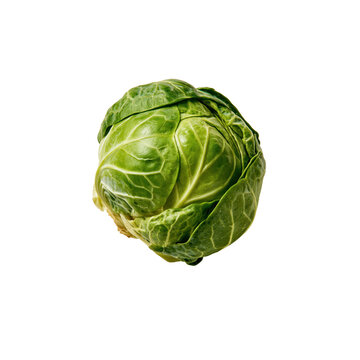 Single Brussels sprout sitting on a white background with clear details of its green leaves and round shape captured in high definition