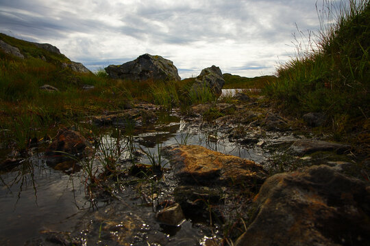 Hochmoor auf dem Ulriken